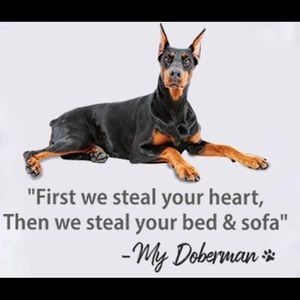 Meet your Posher, Loleta